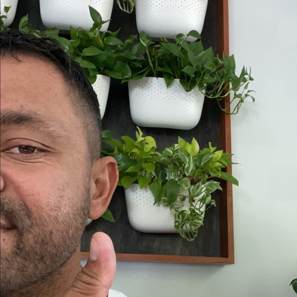 Meet your Posher, Raphael - Picture 1 of 1